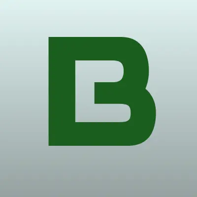 Борус, компания, лого-визитка